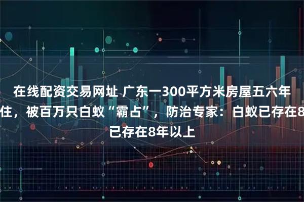 在线配资交易网址 广东一300平方米房屋五六年无人居住，被百万只白蚁“霸占”，防治专家：白蚁已存在8年以上